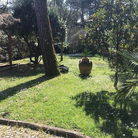 Old Town In The Green: Federico'S Apartment. Florence Exterior photo