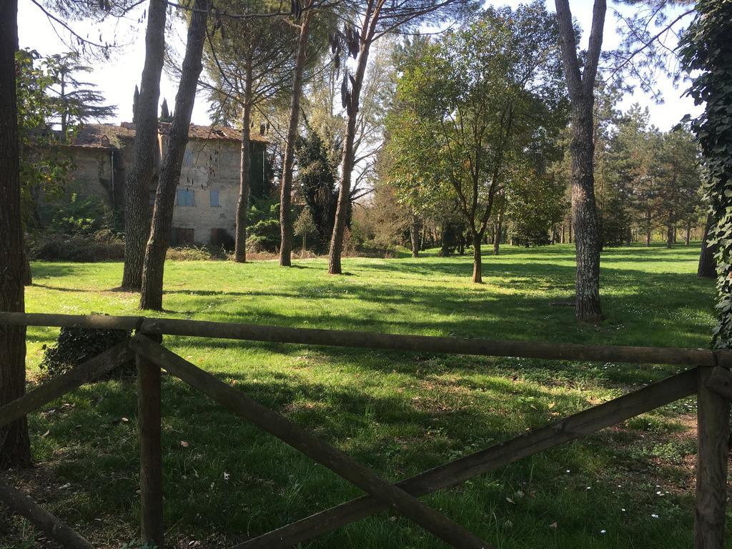 Old Town In The Green: Federico'S Apartment. Florence Exterior photo